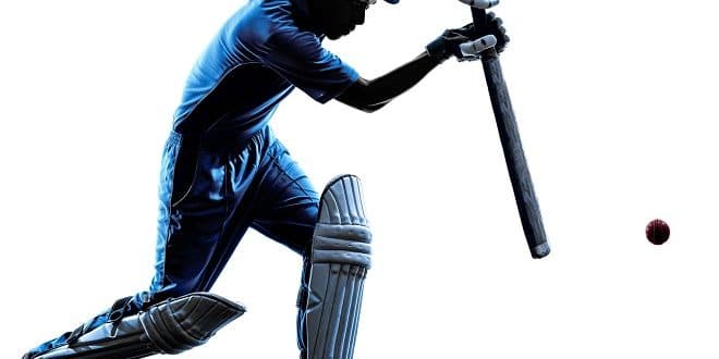 Cricket